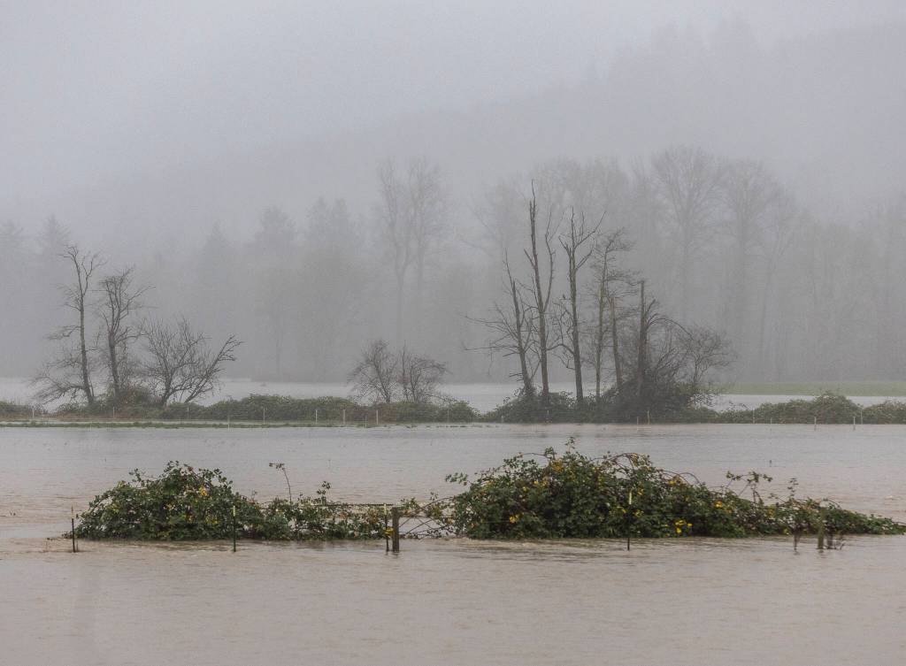 Water from the Skykomish River spills into fields along US 2 on Wednesday, Dec. 10, 2025 in Sultan, Washington. (Olivia Vanni / The Herald)