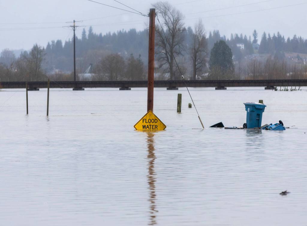 Floodwater from the Snohomish River partially covers a flood water sign along Lincoln Avenue on Thursday, Dec. 11, 2025 in Snohomish, Washington. (Olivia Vanni / The Herald)