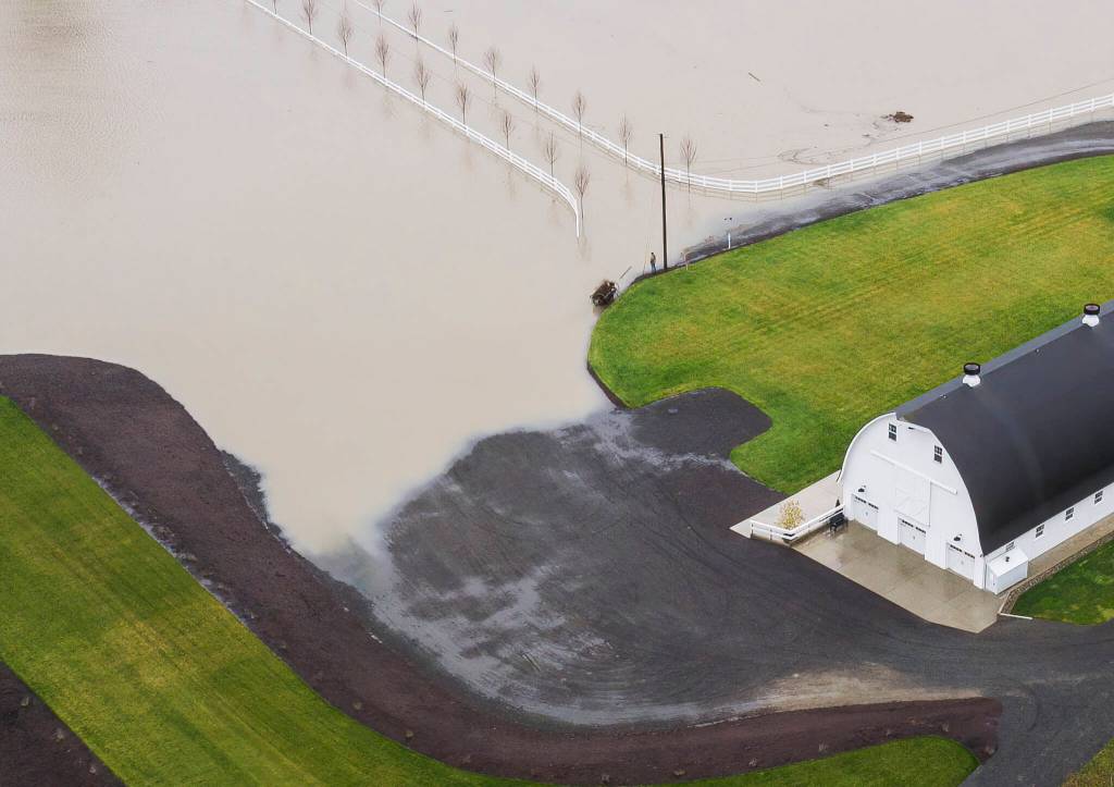 A person stands along the edge of the grass at Fiddlers Bluff looking out over the floodwater from the Snohomish River on Thursday, Dec. 11, 2025 in Snohomish, Washington. (Olivia Vanni / The Herald)