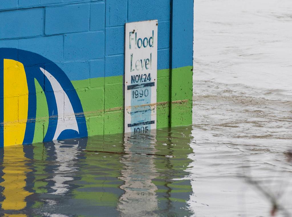 Debris shows the highest level the Snohomish River has reached on a flood level marker located along the base of the Todo Mexico building on First Street on Friday, Dec. 12, 2025 in Snohomish, Washington. (Olivia Vanni / The Herald)