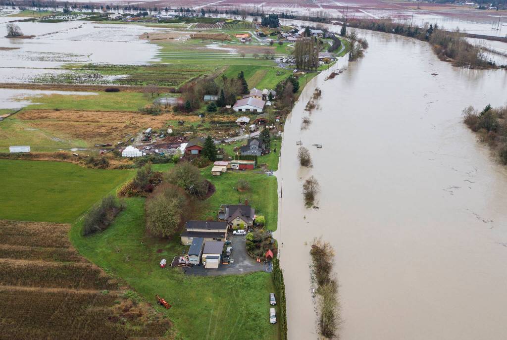The Snohomish River begins to spill over Rivershore Road and into the field to the east on Thursday, Dec. 11, 2025 in Snohomish, Washington. (Olivia Vanni / The Herald)