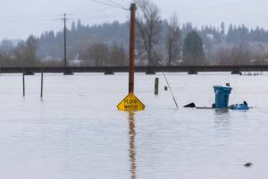 Floodwater from the Snohomish River partially covers a flood water sign along Lincoln Avenue on Thursday, Dec. 11, 2025 in Snohomish, Washington. (Olivia Vanni / The Herald)