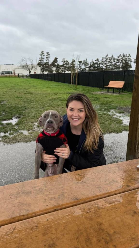 Everett Officer Kargopoltseva poses with Binny after returning to visit the pit bull for the first time since rescuing her from a dumpster in Everett. (Everett Police Department)