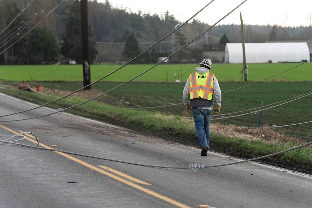 Snohomish County PUD crews work to repair power lines on Wednesday, Dec. 17 along Marine Drive in Stanwood, Washington. (Will Geschke / The Herald)