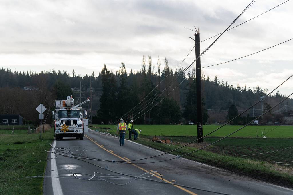 Snohomish County PUD crews work to repair power lines on Wednesday along Marine Drive in Stanwood. (Will Geschke / The Herald)