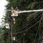 Snohomish PUD crews repair a power line that was hit by a downed tree along Cypress Way on Monday, Dec. 15, 2025 in Lynnwood, Washington. (Olivia Vanni / The Herald)