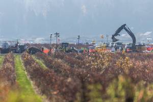 An excavator moves a large bag at the site of a fuel spill on a farm on Nov. 19, 2025 in Everett, Washington. (Olivia Vanni / The Herald)
