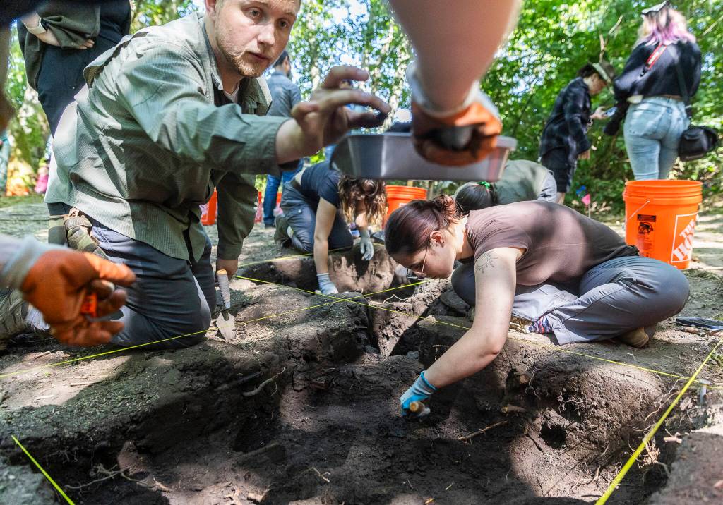 Josh Thiel, left, places a nail into a dust pan while Rey Wall continues digging in a sectioned-off piece of land at Japanese Gulch on Wednesday, July 23, 2025, in Everett, Washington. (Olivia Vanni / The Herald)
