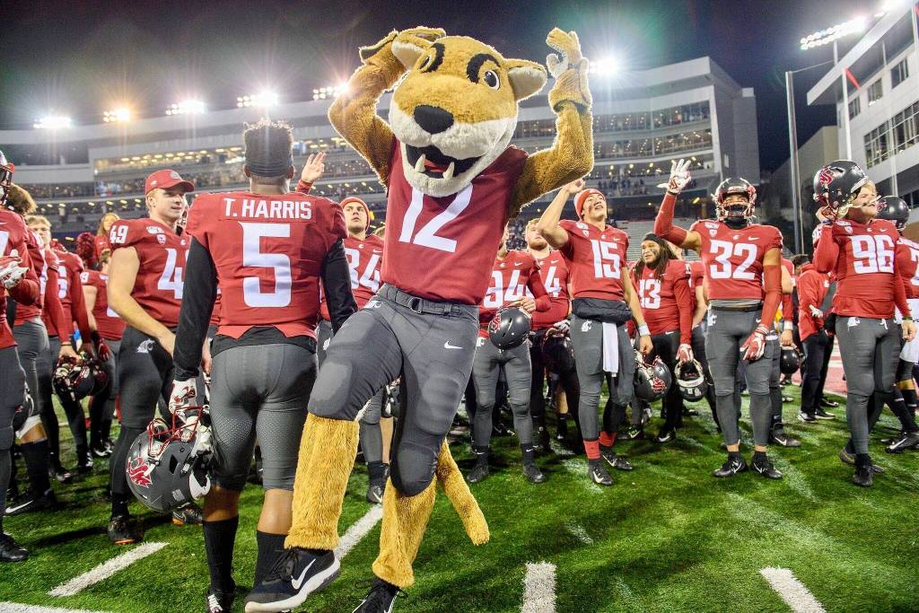 Provided photo
Andy Hougan as Butch T. Cougar, Washington State Universitys mascot in 2019 and 2020. Hougan is a city of Marysville financial analyst.