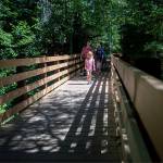 People walk along a newly constructed bridge at the Big Four Ice Caves hike along the Mountain Loop Highway in Snohomish County, Washington on Wednesday, July 19, 2023. (Annie Barker / The Herald)