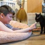 Naoki Doi feeds October a cat treat on Tuesday, Jan. 20, 2026 in Lynnwood, Washington. (Olivia Vanni / The Herald)