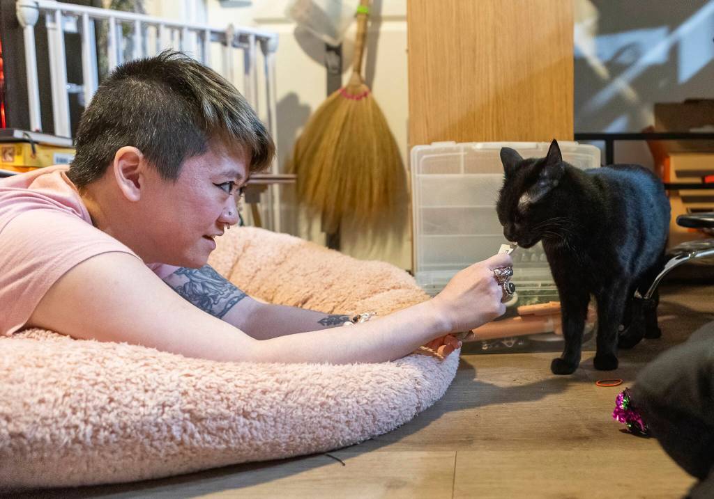 Naoki Doi feeds October a cat treat on Tuesday, Jan. 20, 2026 in Lynnwood, Washington. (Olivia Vanni / The Herald)