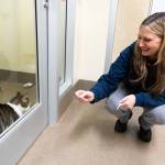 Leslie Wall in the Everett Animal Shelter on Jan. 6, 2026 in Everett, Washington. (Will Geschke / The Herald)