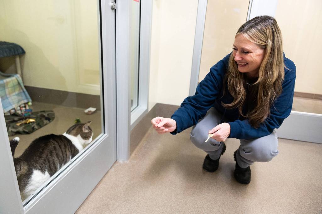 Leslie Wall in the Everett Animal Shelter on Tuesday in Lynnwood. (Olivia Vanni / The Herald)