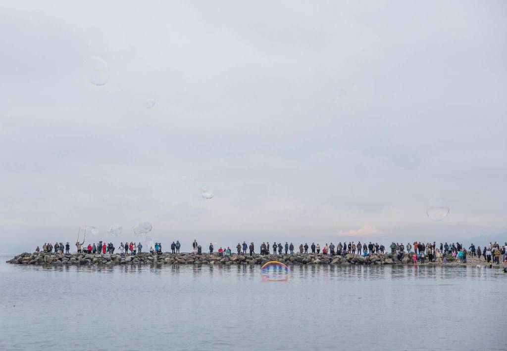 People line the Edmonds Waterfront Viewpoint at Bracketts Landing North to watch the 19th annual Polar Bear Plunge on Thursday, Jan. 1, 2026, in Edmonds, Washington. (Olivia Vanni / The Herald)
