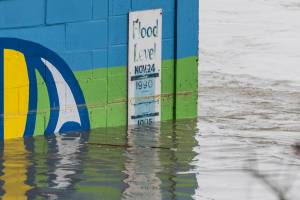 Debris shows the highest level the Snohomish River has reached on a flood level marker located along the base of the Todo Mexico building on First Street on Friday, Dec. 12, 2025 in Snohomish, Washington. (Olivia Vanni / The Herald)