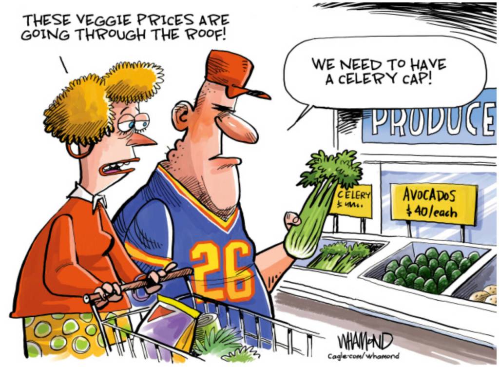 toon