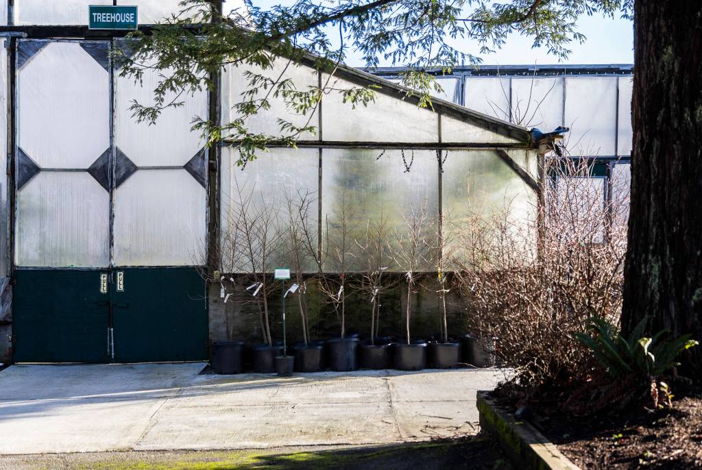 Outside of the treehouse at Flower World on Wednesday, Dec. 31, 2025 in Snohomish, Washington. (Olivia Vanni / The Herald)