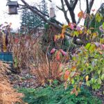 A display garden in the winter (Sunnyside Nursery)