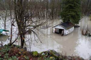 Flooding at the Stillaguamish River on Dec. 11 in Arlington. (Will Geschke / The Herald)