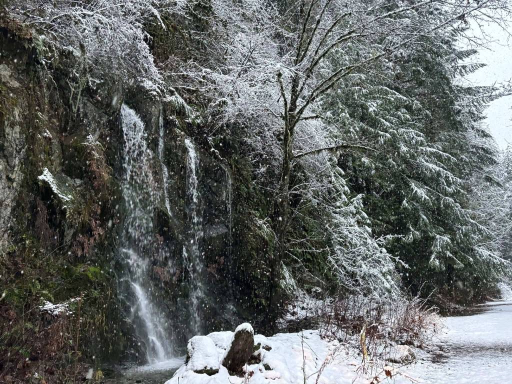 Provided photo
Water falls down the snowy cliff side of Mount Baker during Emily Trepanier and Autumn Boobers trip to the Baker Hot Springs on Jan. 6 in Whatcom County.