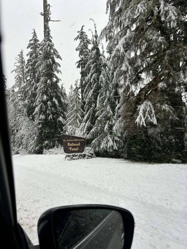 Provided photo
A Mt. Baker Snoqualmie National Forest sign covered in snow on Mount Baker on Jan. 6 in Whatcom County.