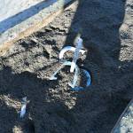 Horseshoe ringers after being thrown at a Winetrout Winter Classic tournament at Woodland Park in Seattle, Washington. (Photo courtesy of Melissa Slager)