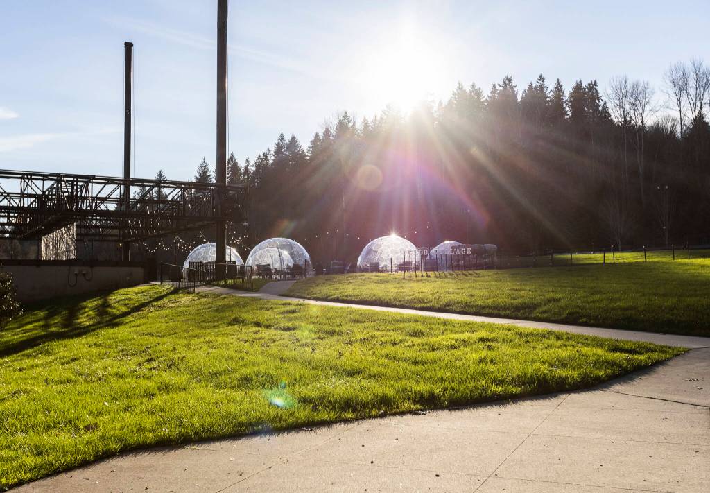 The sun shines through Chateau Ste. Michelle’s current set up of igloos on Wednesday, Jan. 21, 2026 in Woodinville, Washington. (Olivia Vanni / The Herald)
