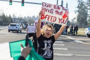 Rayna Peacher, a senior at Lakewood High School, yells as she crosses 27th Avenue Northeast during a student walkout and protest on Thursday, Feb. 5, 2026 in Lakewood, Washington. (Olivia Vanni / The Herald)
