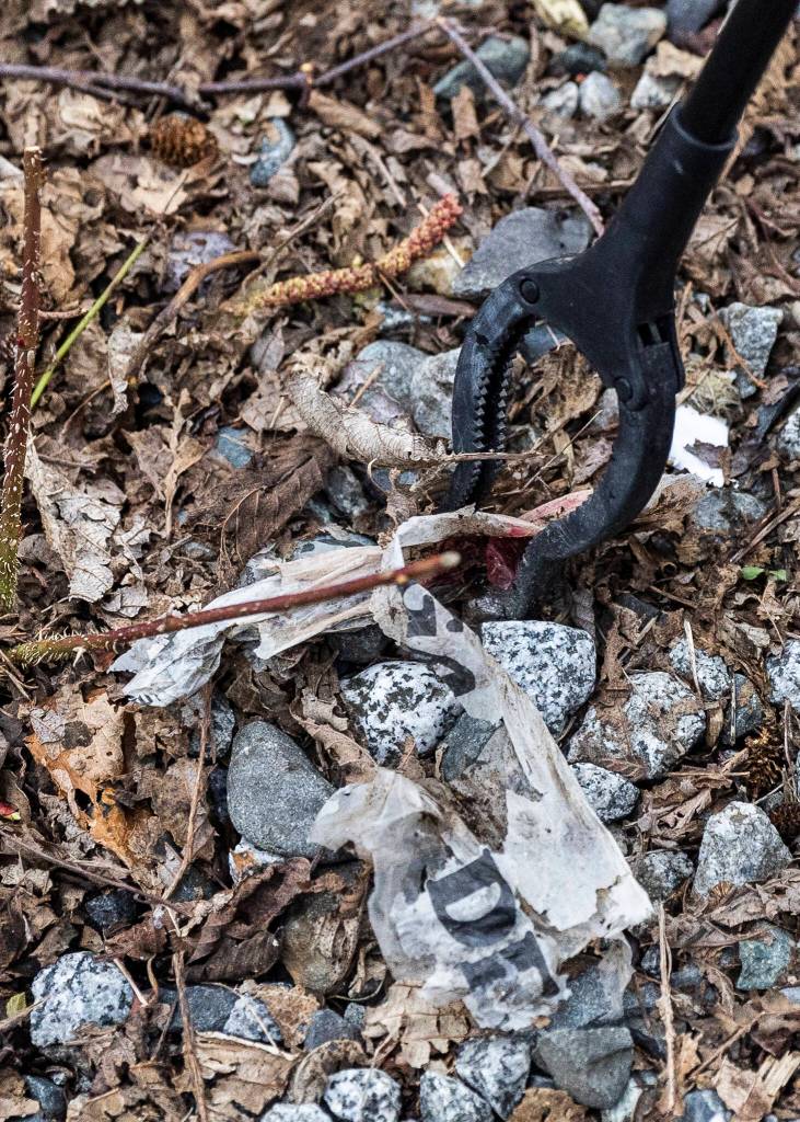 People pick up trash along a trail in the Penny Creek Natural Area on Friday, March 20, 2026 in Mill Creek, Washington. (Olivia Vanni / The Herald)