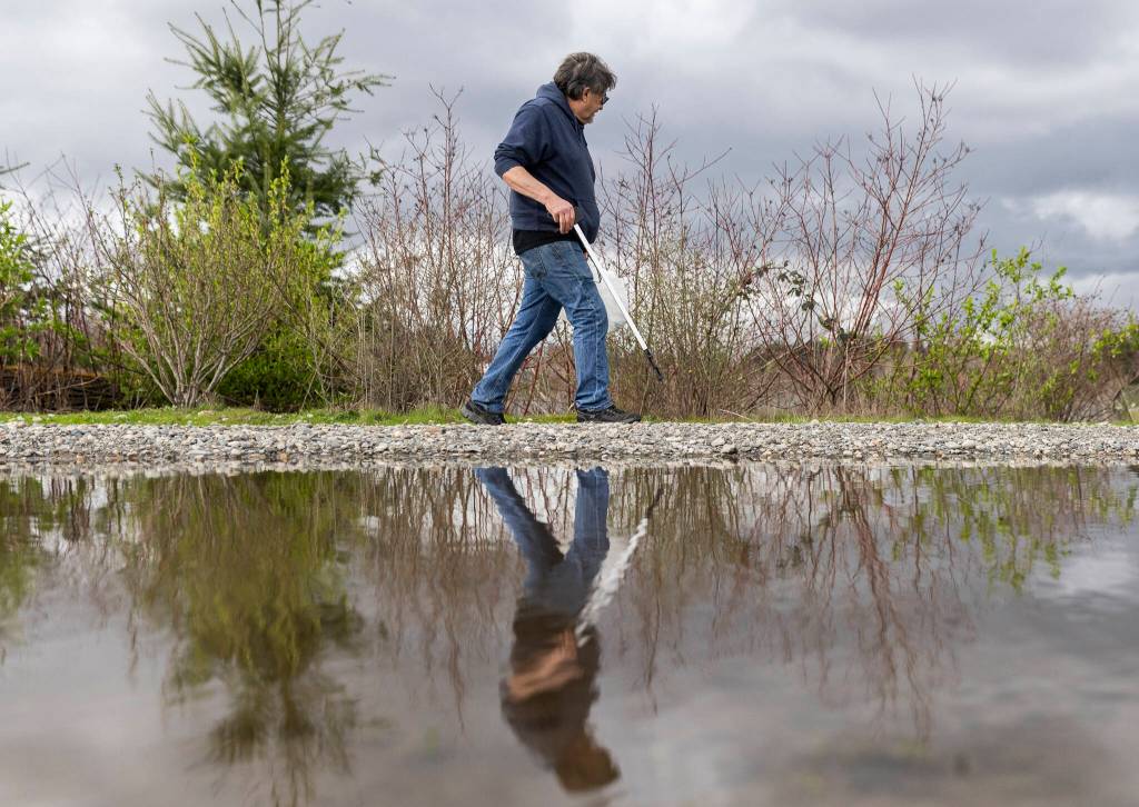 Mark McCullough walks past a puddle while looking for trash in the Penny Creek Natural Area on Friday, March 20, 2026, in Mill Creek, Washington. (Olivia Vanni / The Herald)