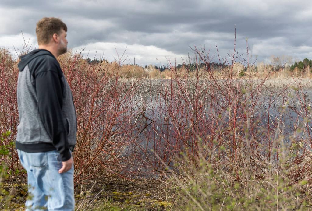 Sunlight breaks through the clouds over the Penny Creek Natural Area on Friday, March 20, 2026 in Mill Creek, Washington. (Olivia Vanni / The Herald)
