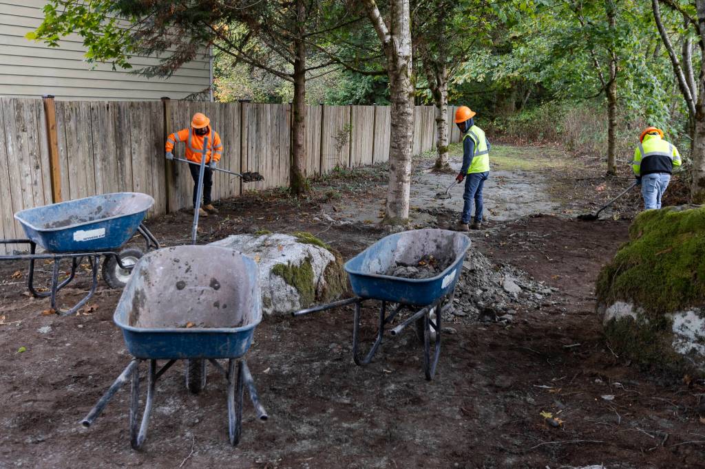 Workers shovel mud from a walking path on Greenleaf property along 79th Avenue Southeast that flowed down from the Eastview development on on Oct. 16, 2025 in Snohomish, Washington. (Olivia Vanni / The Herald)