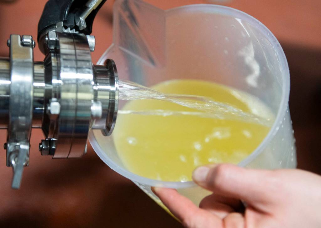 Katie Cochrane fills up a cup with cider to top off other barrels at Garden Path Fermentation on Wednesday, Jan. 7, 2026 in Burlington, Washington. (Olivia Vanni / The Herald)