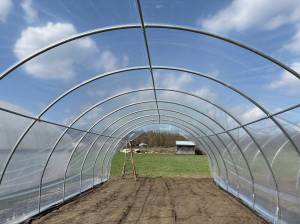 Inside a newly built greenhouse using specialty film made by SunXel on Thursday at Food Bank Farm. The film filters ultraviolet and infrared rays from the sun, keeping plants cool in the summer and warm in the winter. (Taylor Scott Richmond / The Herald)