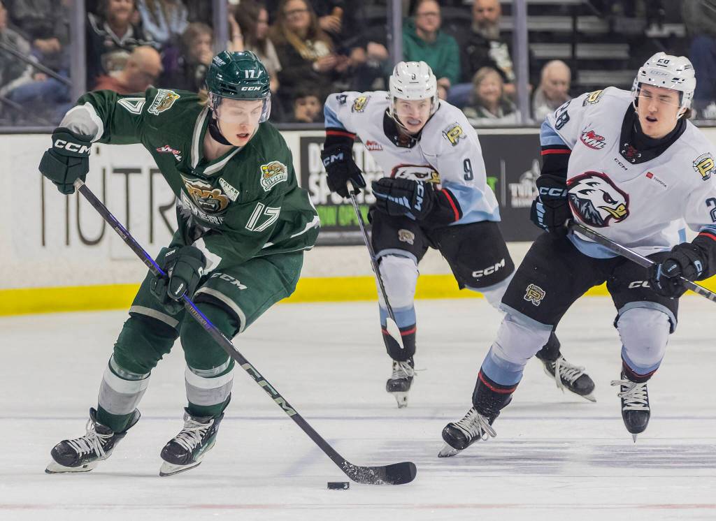 Everett Silvertips’ forward Julius Miettinen takes the puck down the ice in breakaway during the second round WHL playoff game against the Portland Winterhawks on Friday, April 11, 2025 in Everett, Washington. (Olivia Vanni / The Herald)