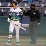 Jonny Farmelo (15) of the Everett AquaSox reacts after striking out during the game against the Tri-City Dust Devils on Tuesday, April 7, 2026 in Everett, Washington. (Olivia Vanni / The Herald)