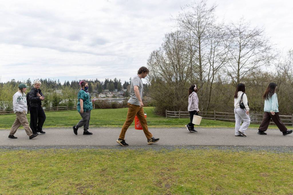 Bryce Nevitt carries a bucket of salmon through Lake Ballinger Park before their release on Friday, April 10, 2026, in Mountlake Terrace, Washington. (Olivia Vanni / The Herald)