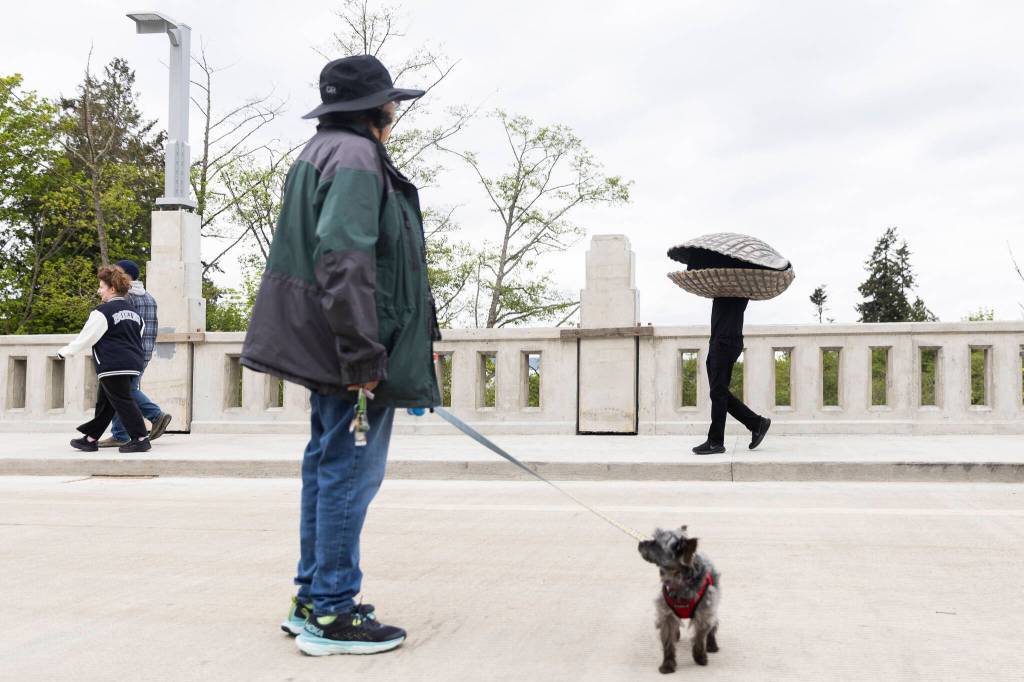 Pedestrians, including the Ivars clam, walk across the new Edgewater Bridge on Monday, April 27, 2026, in Everett, Washington. (Olivia Vanni / The Herald)