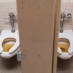 Tested and clean but discolored water from aging pipes is visible in toilets at Explorer Middle School on Monday, May 11, 2026 in Everett, Washington. (Olivia Vanni / The Herald)
