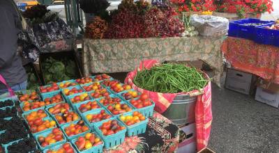 Everett Farmers Market bounty at its downtown location is seen in 2019. (Sue Misao / Herald file)