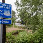 Cars drive along 64th Street Northeast above Allen Creek on Tuesday, May 5, 2026 in Marysville, Washington. (Olivia Vanni / The Herald)