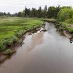 Quilceda Creek on Tuesday, May 5, 2026 in Tulalip, Washington. (Olivia Vanni / The Herald)