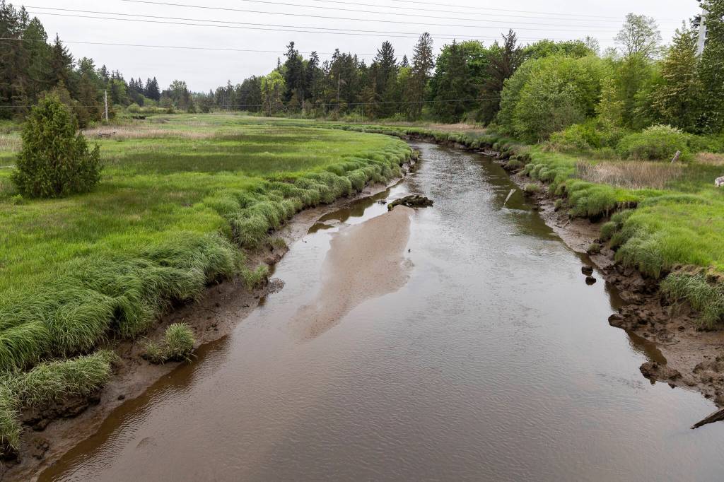 Quilceda Creek on Tuesday, May 5, 2026 in Tulalip, Washington. (Olivia Vanni / The Herald)
