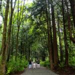 Katie Schrum and her daughters Marlee, 11, and Mia, 4, make their way along Comeford Road through the newly opened Mother Natures Window Park on Thursday, May 14, 2026 in Marysville, Washington. (Olivia Vanni / The Herald)