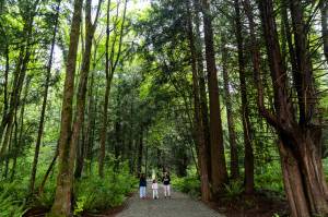 Katie Schrum and her daughters Marlee, 11, and Mia, 4, make their way along Comeford Road through the newly opened Mother Natures Window Park on Thursday, May 14, 2026 in Marysville, Washington. (Olivia Vanni / The Herald)