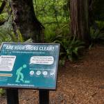 An information sign alerts the public to check their shoes for possible invasive species before hiking along the trails in Mother Natures Window Park on Thursday, May 14, 2026 in Marysville, Washington. (Olivia Vanni / The Herald)