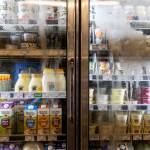 The dairy section inside the Sno-Isle Food Co-op on Wednesday, May 20, 2026 in Everett, Washington. (Olivia Vanni / The Herald)
