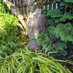 Japanese Forest Grass and Hinoki Cypress. (Sunnyside Nursery)