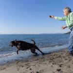 Kim Miller tosses a rock for her dog Bailey, 4, who loves to dive for rocks along West Beach at Deception Pass State Park on Monday, March 2, 2026 in Oak Harbor, Washington. (Olivia Vanni / The Herald)